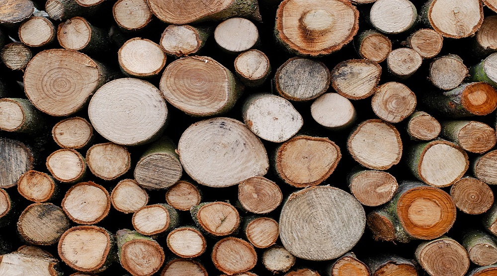 russia bans wood